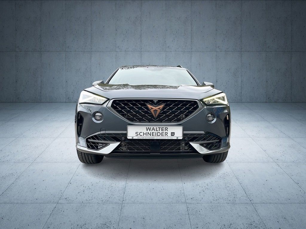 Cupra Formentor 2.0 TSI DSG VZ 4Drive AHK Pano Navi LE