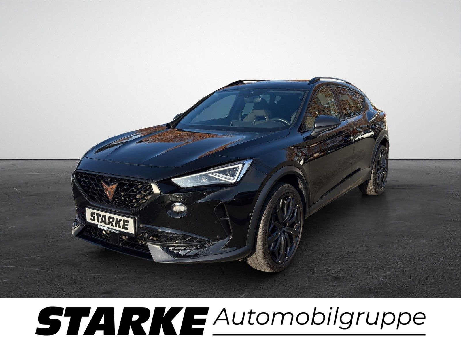 Cupra Formentor VZ 2.0 TSI DSG 4Drive Tribe Edition  P