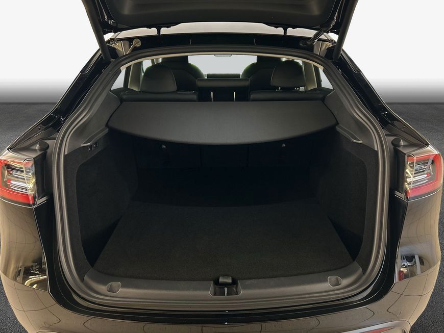 Tesla Model Y Performance Dual Motor AWD Skyview
