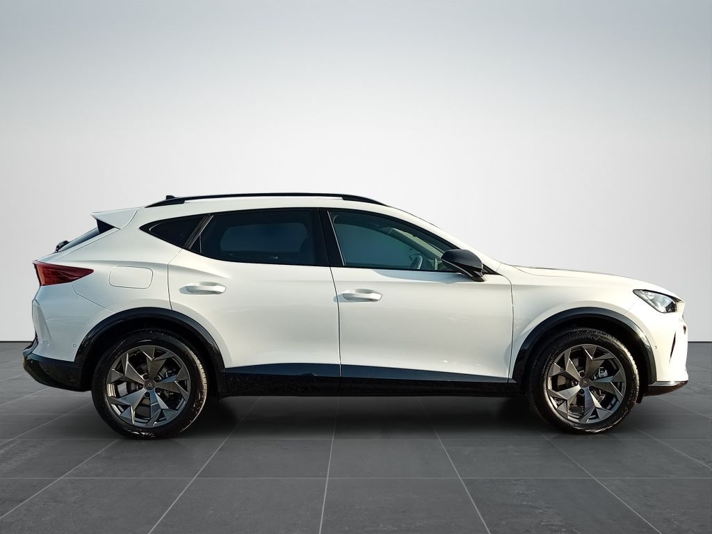 Cupra Formentor 2.0 TSI 4Drive DSG*AHK*Matrix*AHZ*Navi