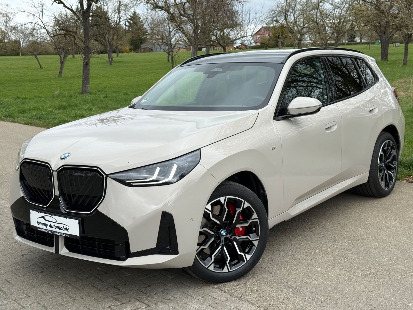 BMW X3 40 d xDrive M SportPro Standhzg Pano AHK 20"