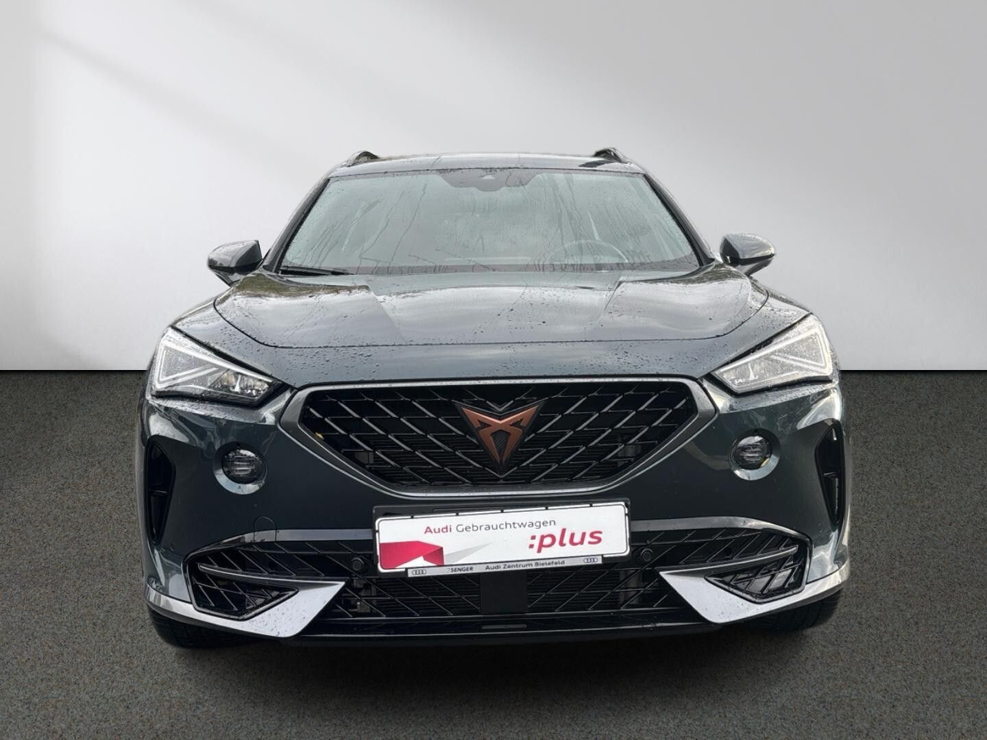 Cupra Formentor 2.0 TSI CarPlay LED AHK Digi-Cockpit