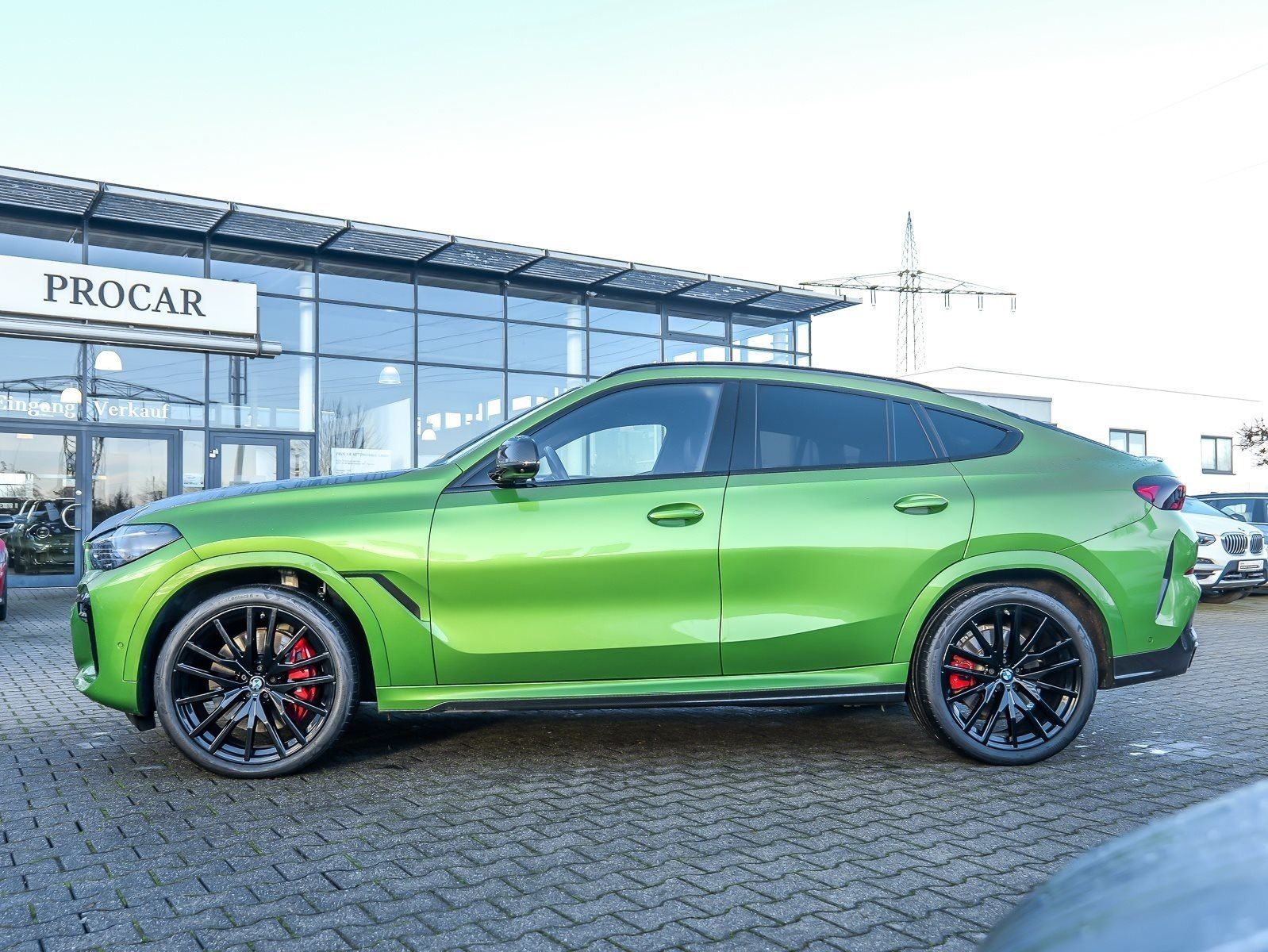 BMW X6 xDrive40d M Sport+Individual JAVA GRÜN+PANO+M