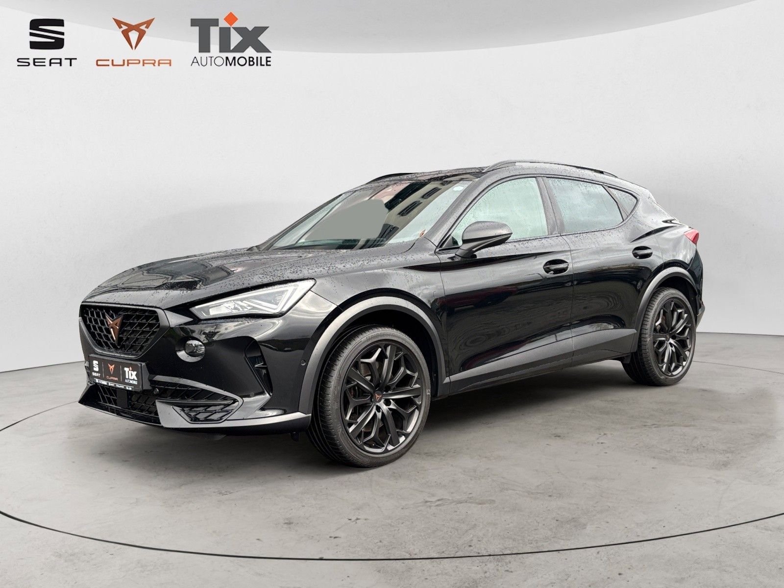 Cupra Formentor 2.0 TSI VZ Tribe Edit. 4D,DSG AHK,Pano