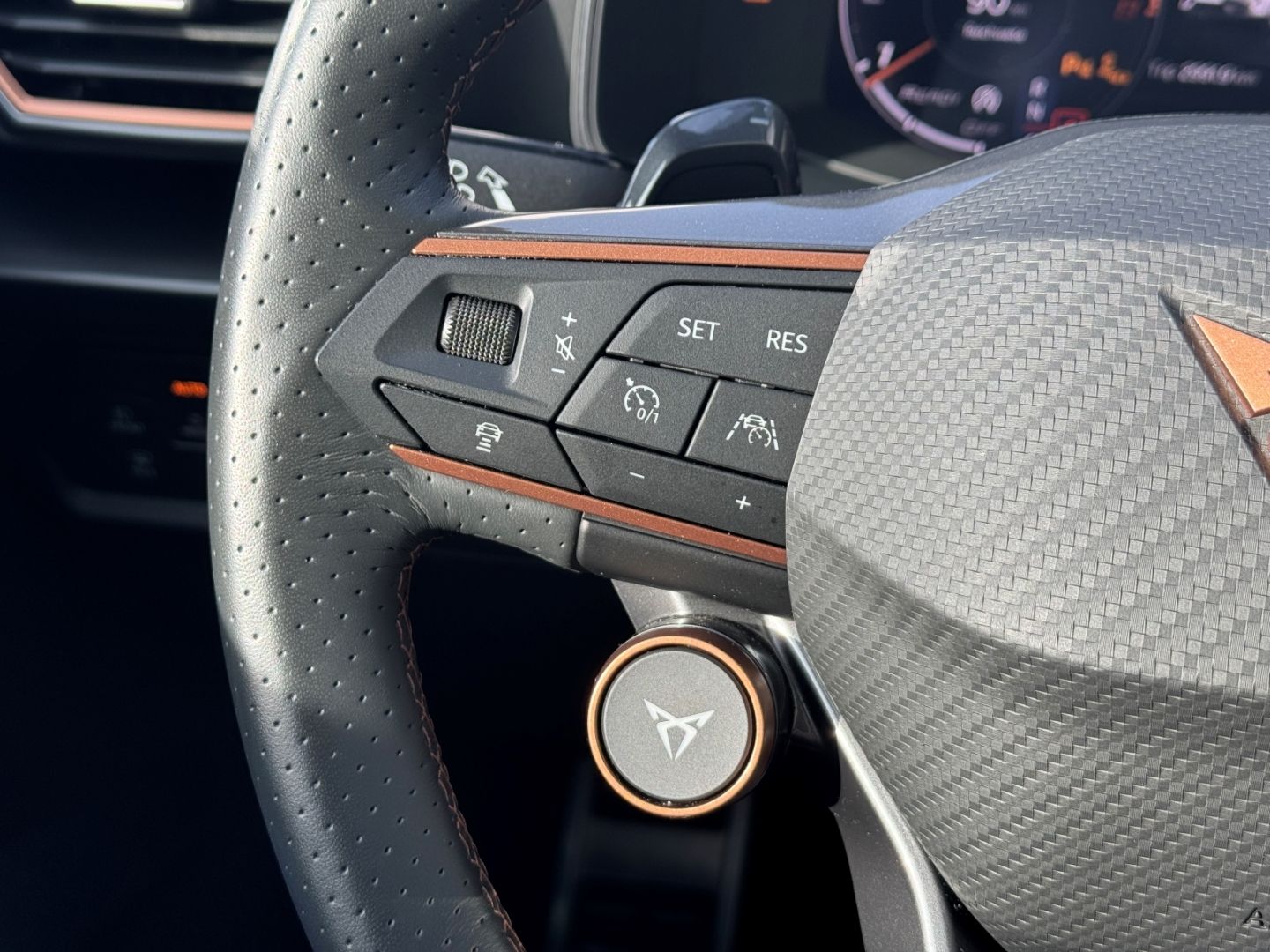 Cupra Formentor 2.0 TSI DSG 4Drive VZ AHK e.Hk TopView