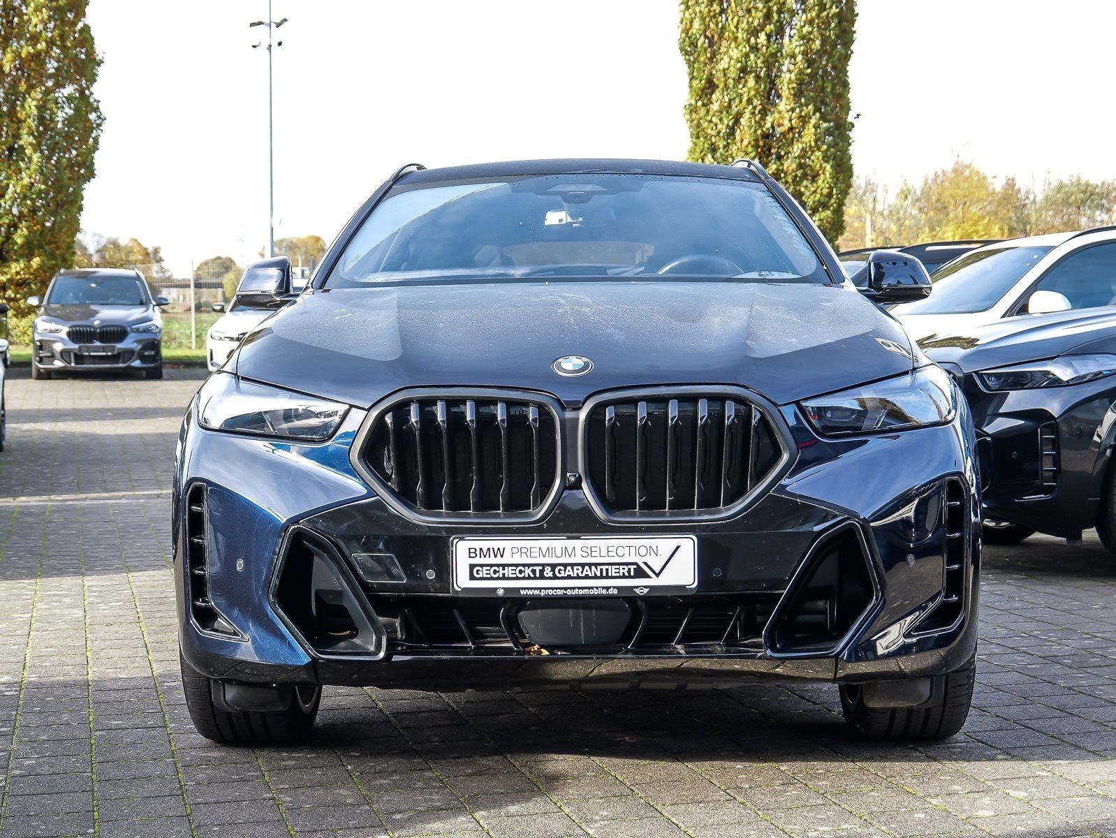 BMW X6 xDrive30d M Sport PANO HUD ACC AHK RFK NAVI L