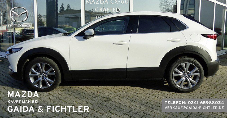 Mazda CX-30 e-SKYACTIV G 140 PS Automatik Takumi Leder