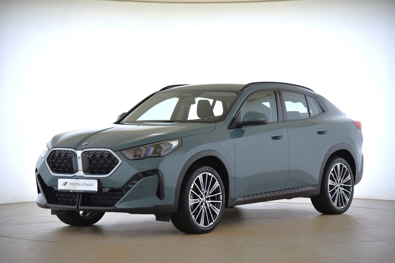 BMW X2 xDrive20d ParkAss+ ACC HUD LED DAB Aktivsitz
