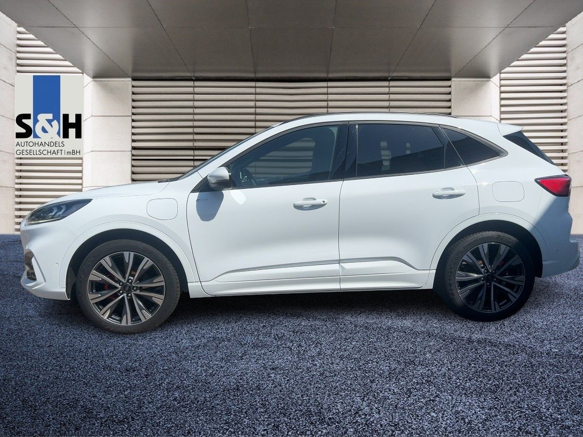 Ford Kuga PHEV St-Line X - Samsaru's Car Outlet