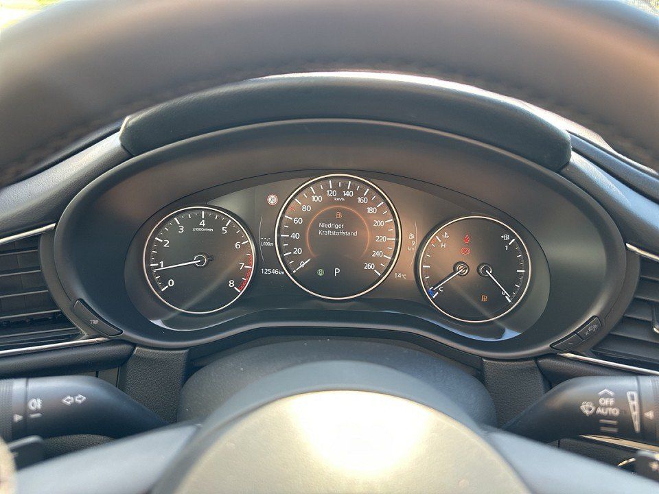 Mazda CX-30 Exclusive-line 1.Hand BOSE Matrix Notbrems