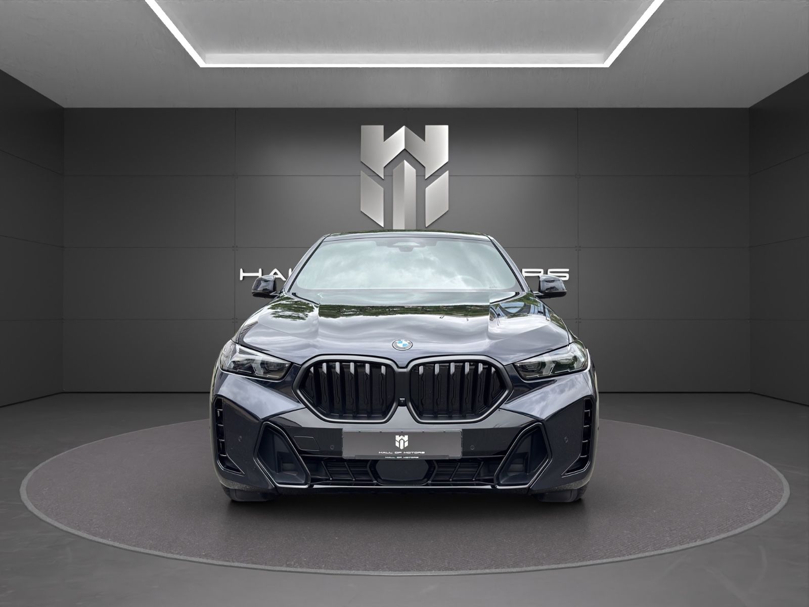 BMW X6 xDrive30d | M-Sport Pro| LED| Sky| H&K| Luft