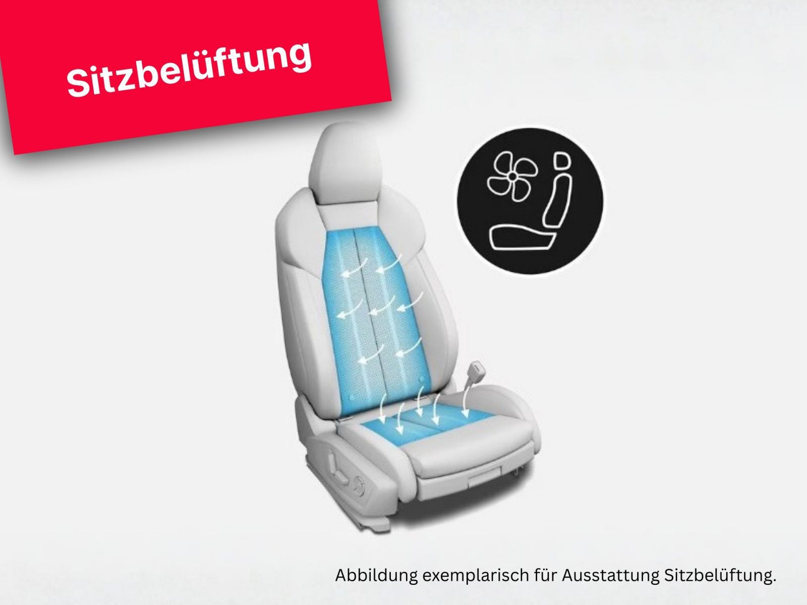 Audi Q8 S line business LASER B&O STANDHZ LEDER-RAUTE