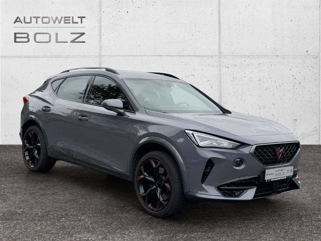 Cupra Formentor VZ 4Drive 2.0 TSI AHK Navi 19Zoll Beat
