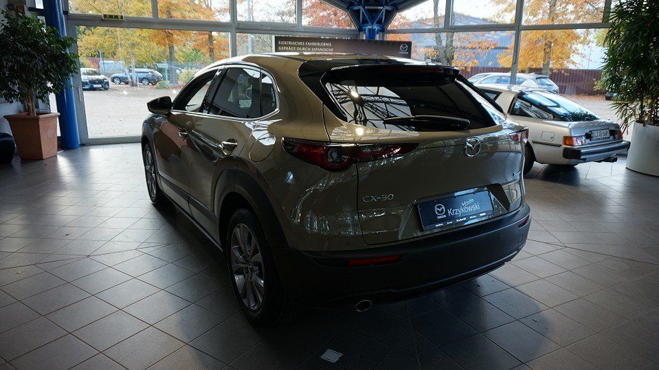 Mazda CX-30 2.5L e-SKYACTIV 140ps 6AT FWD Takumi BLOP