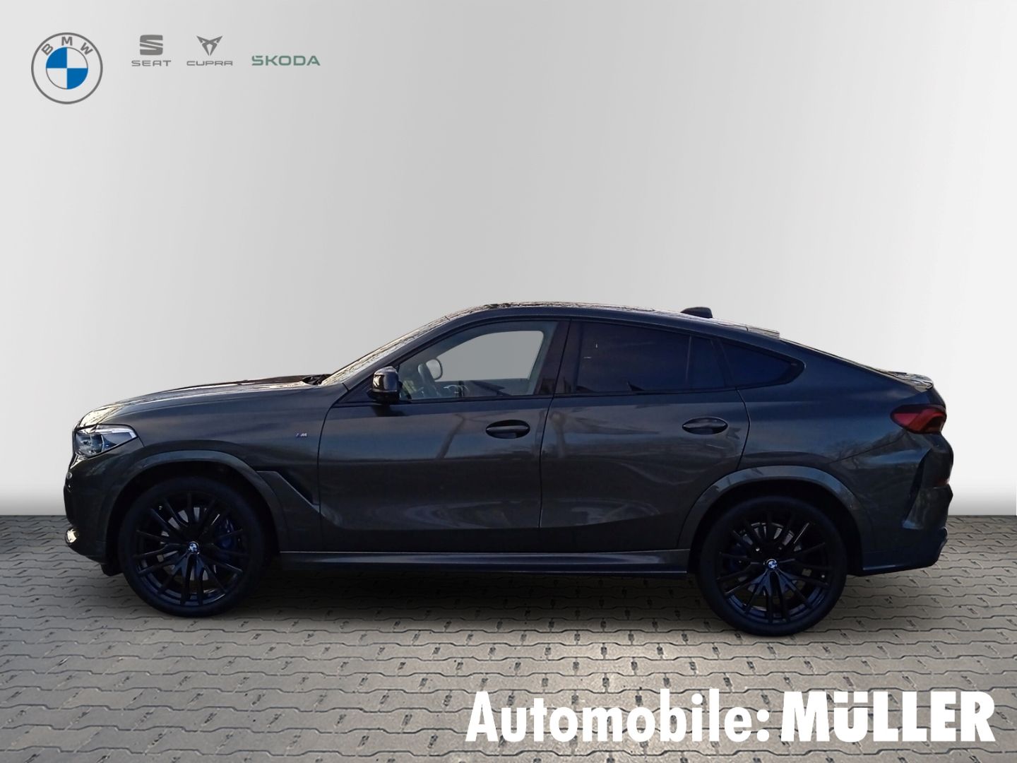 BMW X6 M50i Laserlicht HUD StandHZG AHK-klappbar TV