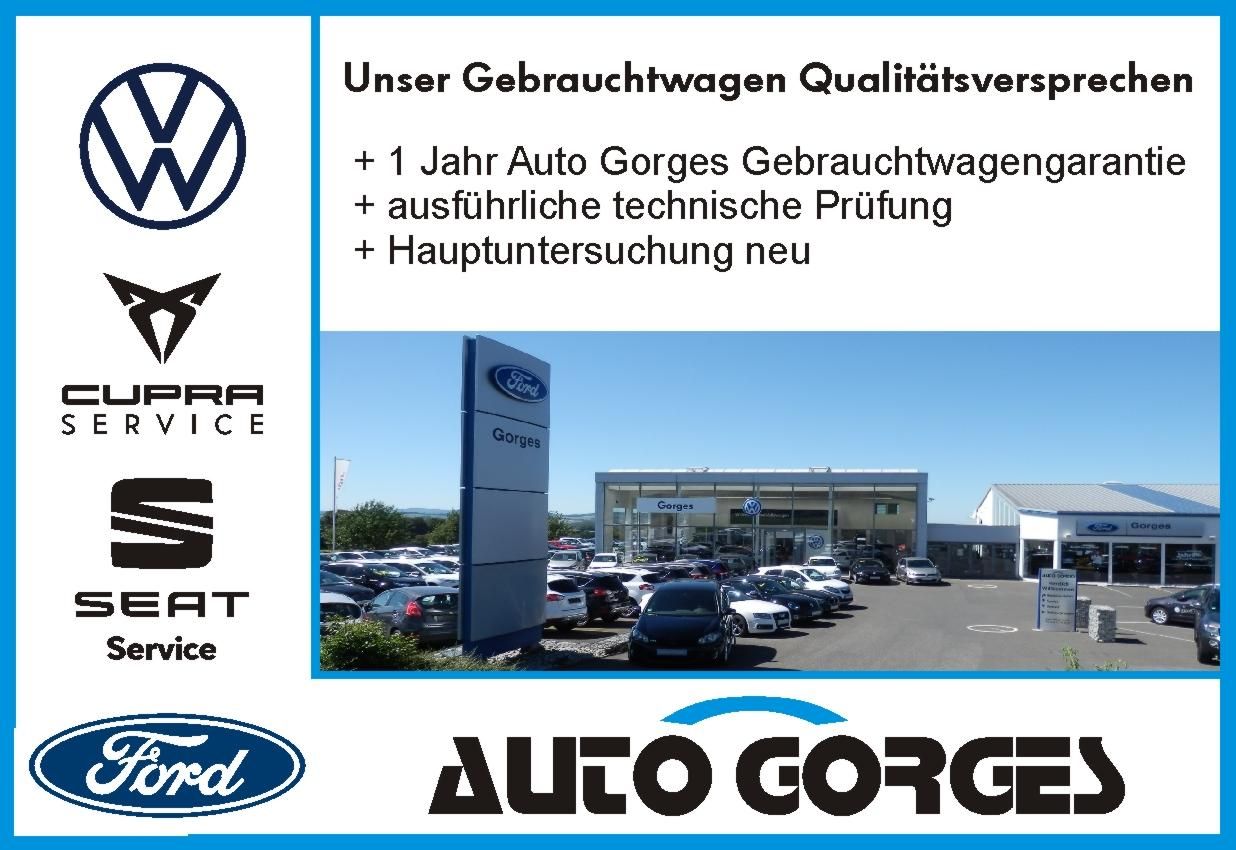 Volkswagen Tiguan R 2,0 l TSI OPF 4MOTION +LEDER+PANO+AHK+