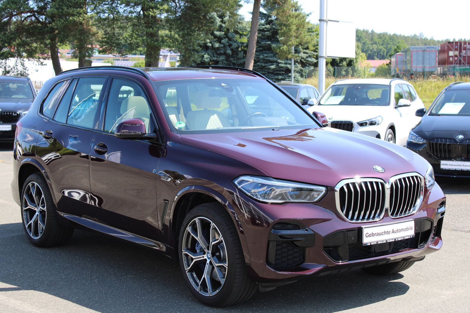 BMW X5 xDrive45e M Sportpaket AHK HiFi