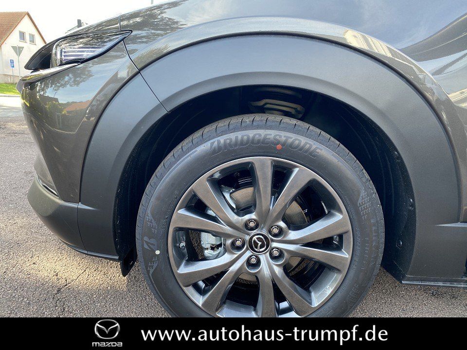 Mazda CX-30 186PS AWD 6AG SELECTION DESIGN-u.PREMIUM-P