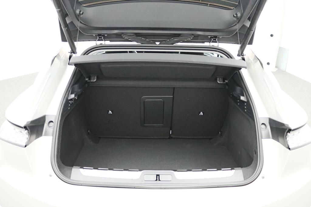 DS Automobiles DS4 Performance Line +