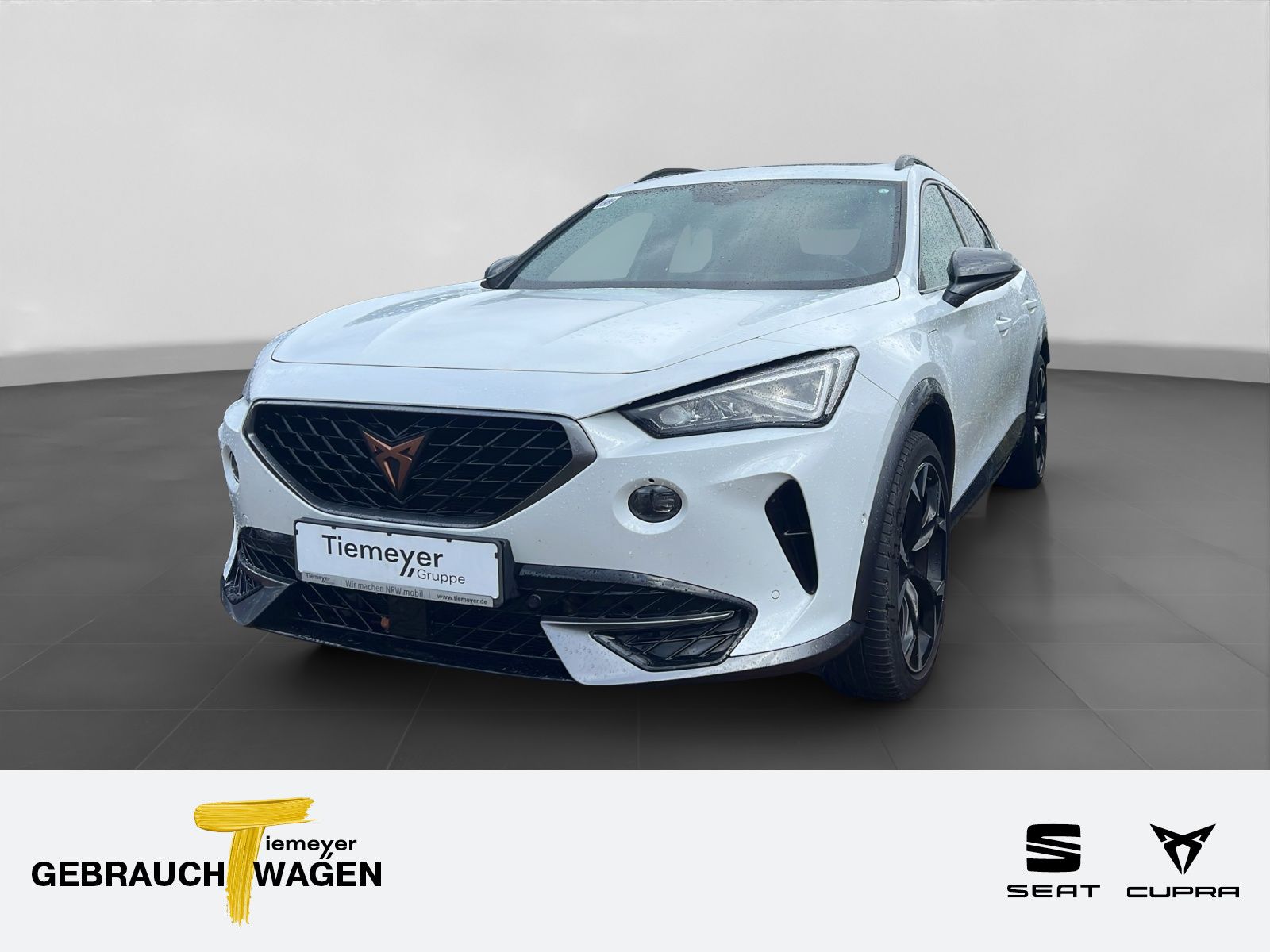 Cupra Formentor VZ eHybrid LM19 PANO AHK FULL-LINK CAM