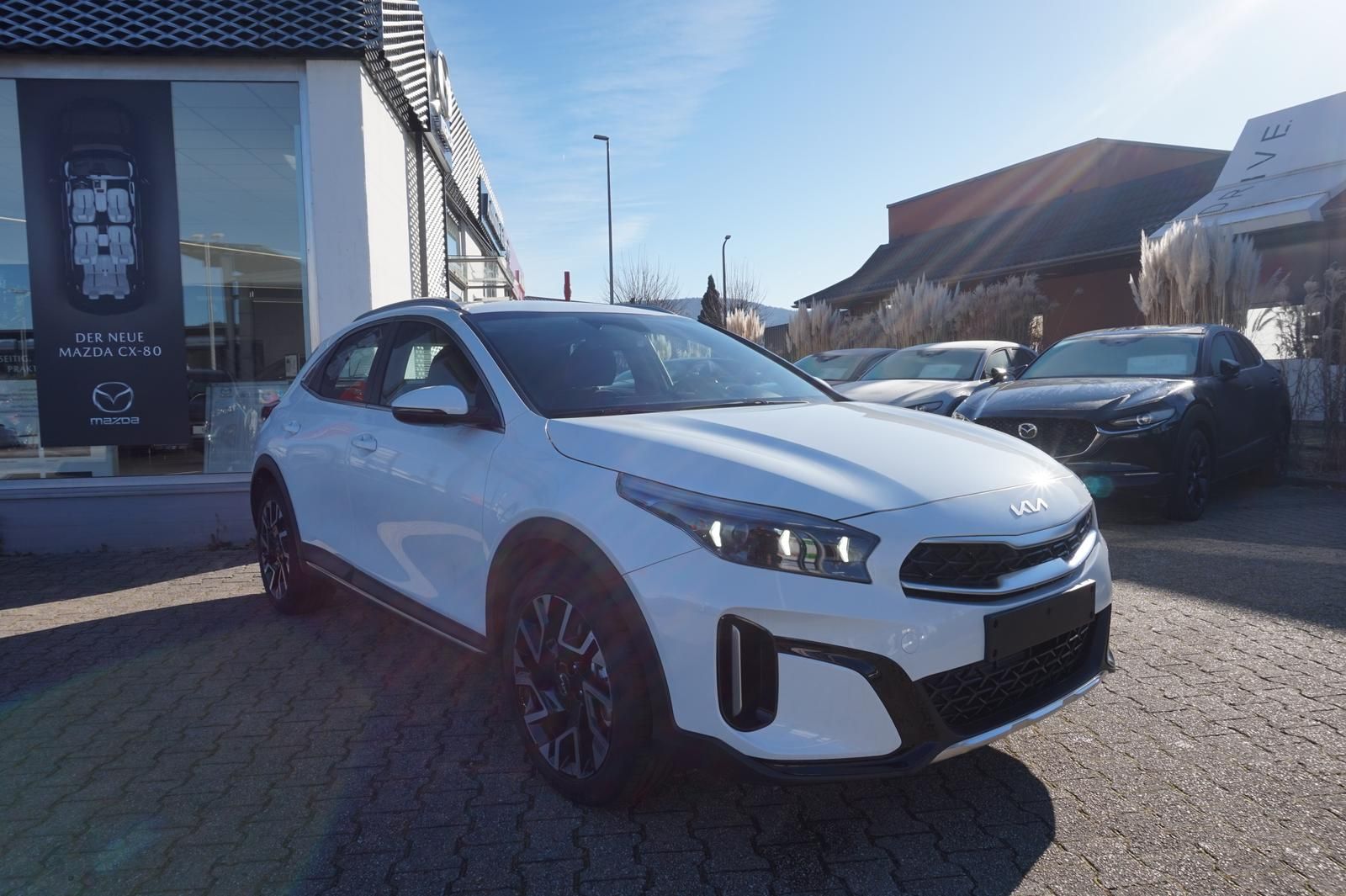 Kia XCeed 1.5 T-GDI SPIRIT - Samsaru's Car Outlet