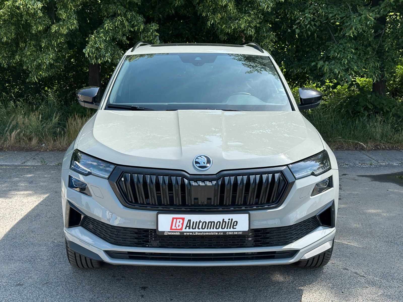 Skoda 2.0TSi 4x4 DSG Sportline PADACH Webasto AHK LM19