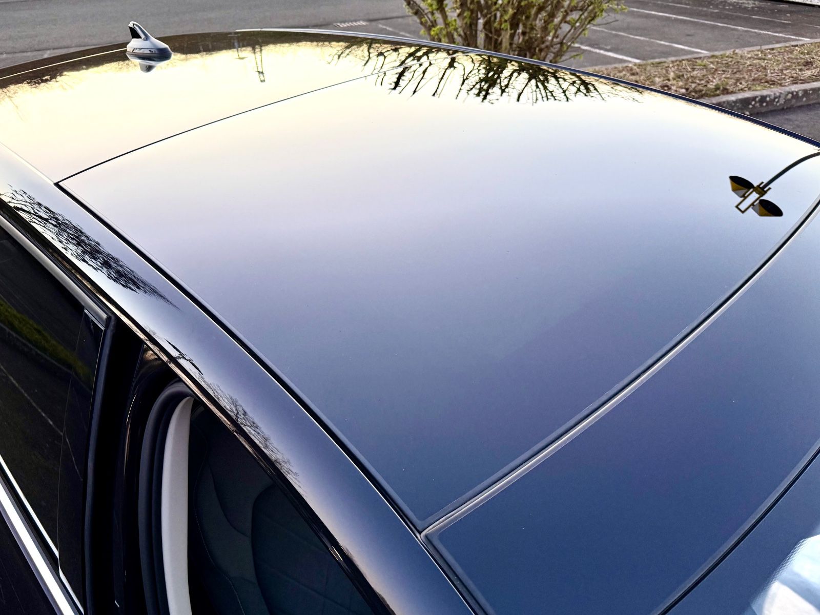 Volkswagen Golf VIII 1.5 Style - Samsaru's Car Outlet