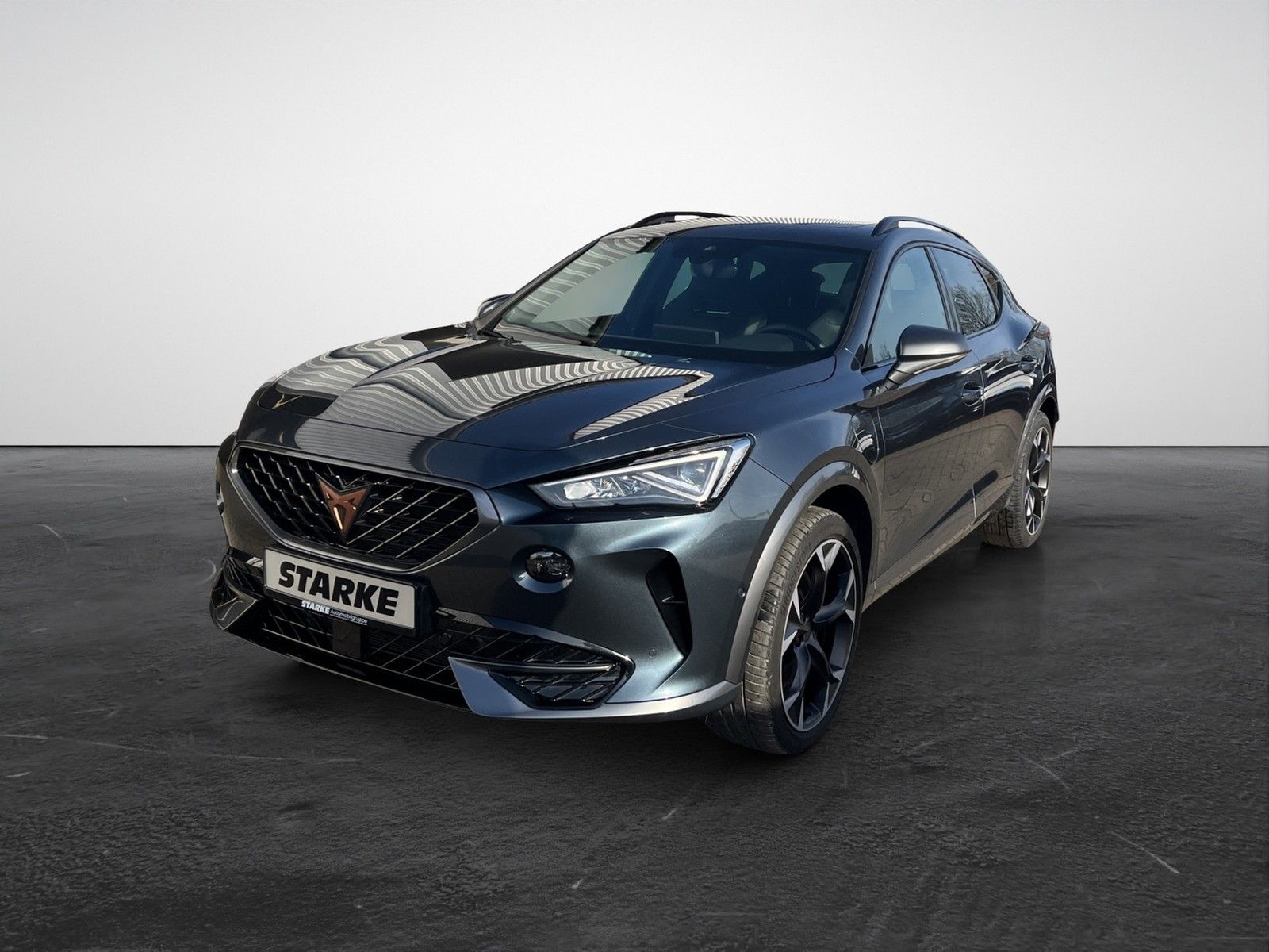 Cupra Formentor 1.4 TSI eHybrid DSG VZ  Panodach AHK N