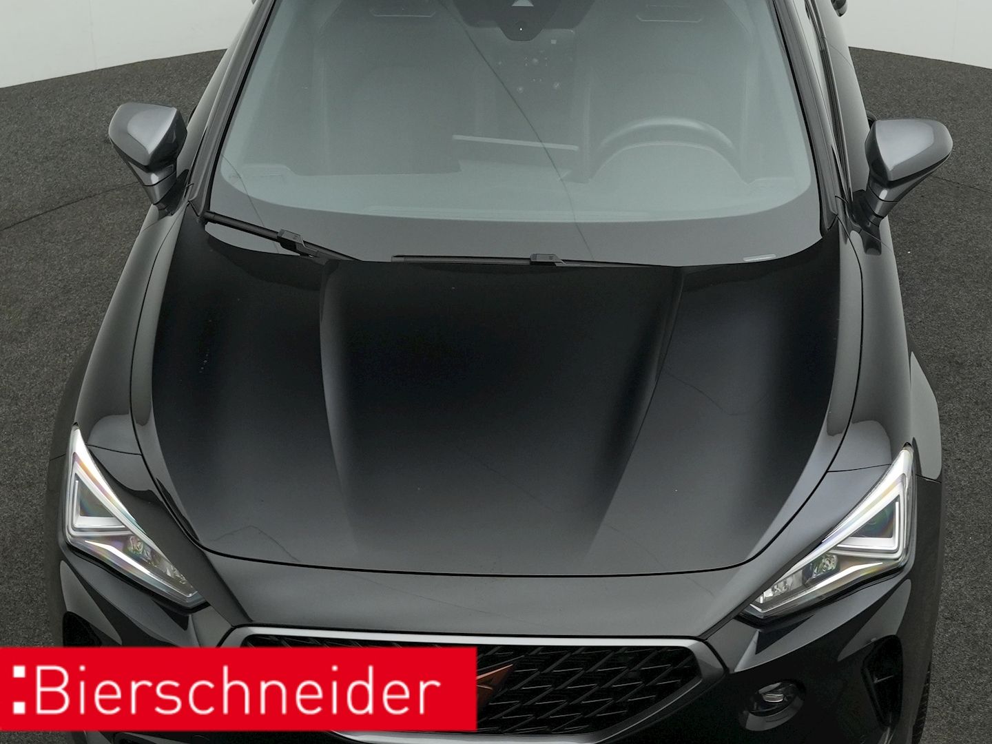 Cupra Formentor 1.4 TSI DSG e-Hybrid VZ PANO AHK KAMER