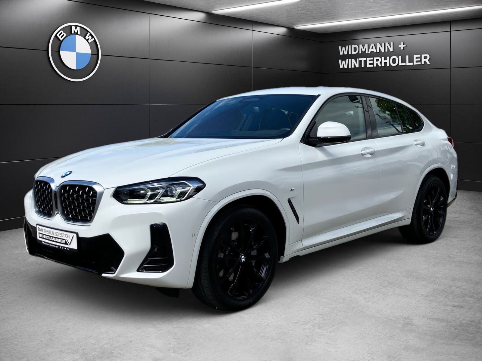 BMW X4 xDrive30d M Sport LC Prof. DA Pro AHK PA+