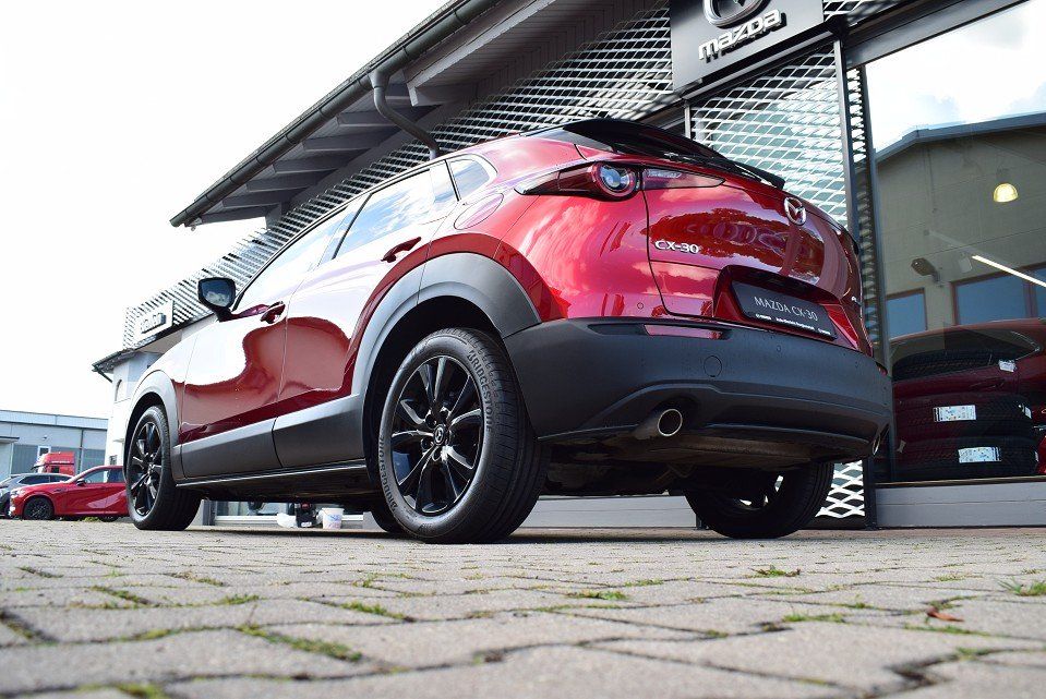 Mazda CX-30 2.5 140PS 6AG Homura Voll-LED Navi Kamera