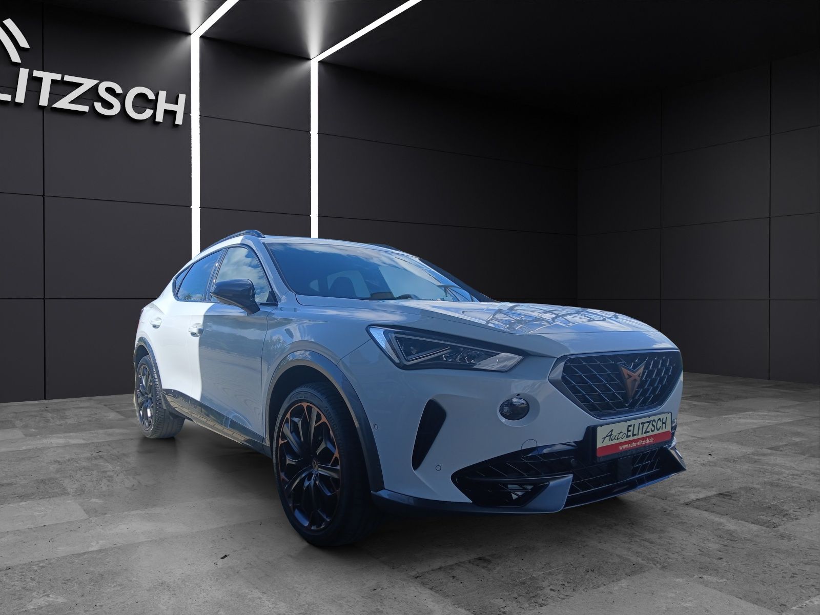 Cupra Formentor VZ DSG 4Drive LED AHK Navi Pano ACC RF