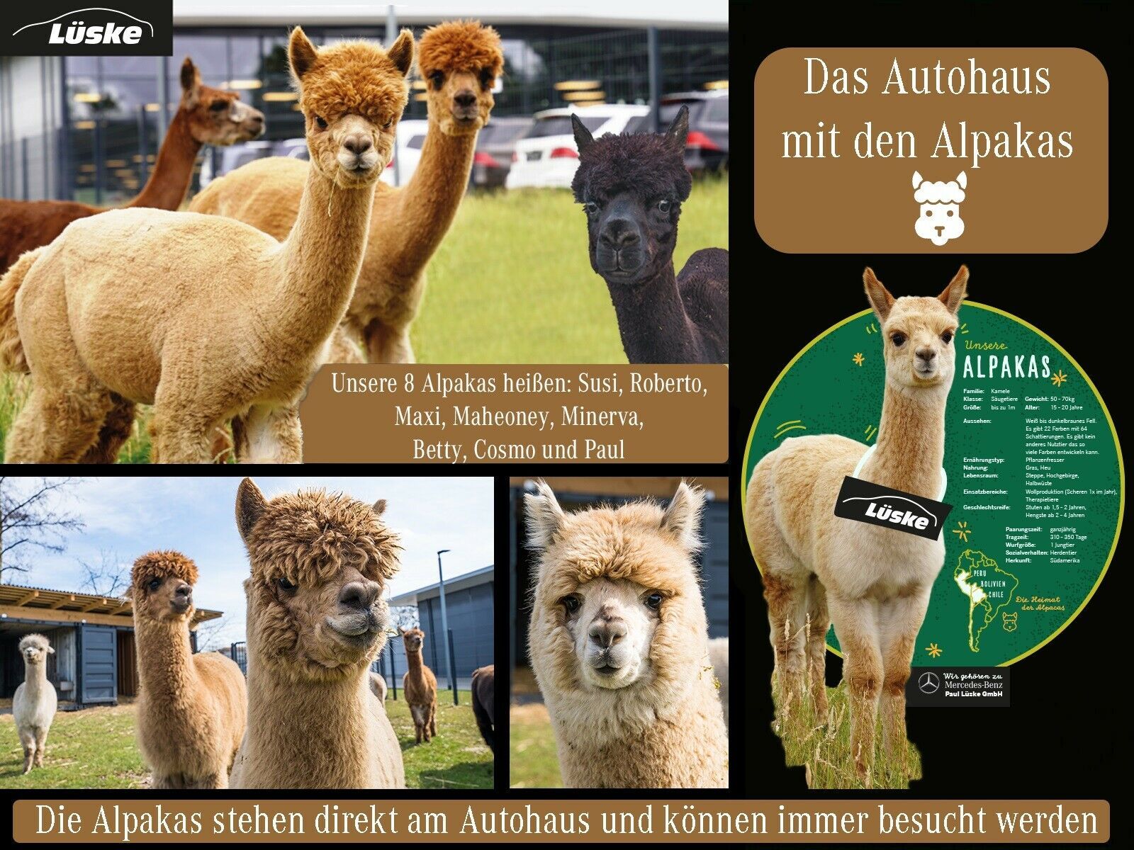 Mercedes-Benz GLE 350 e 4M Fond Entertainment Pano Head-up DAB