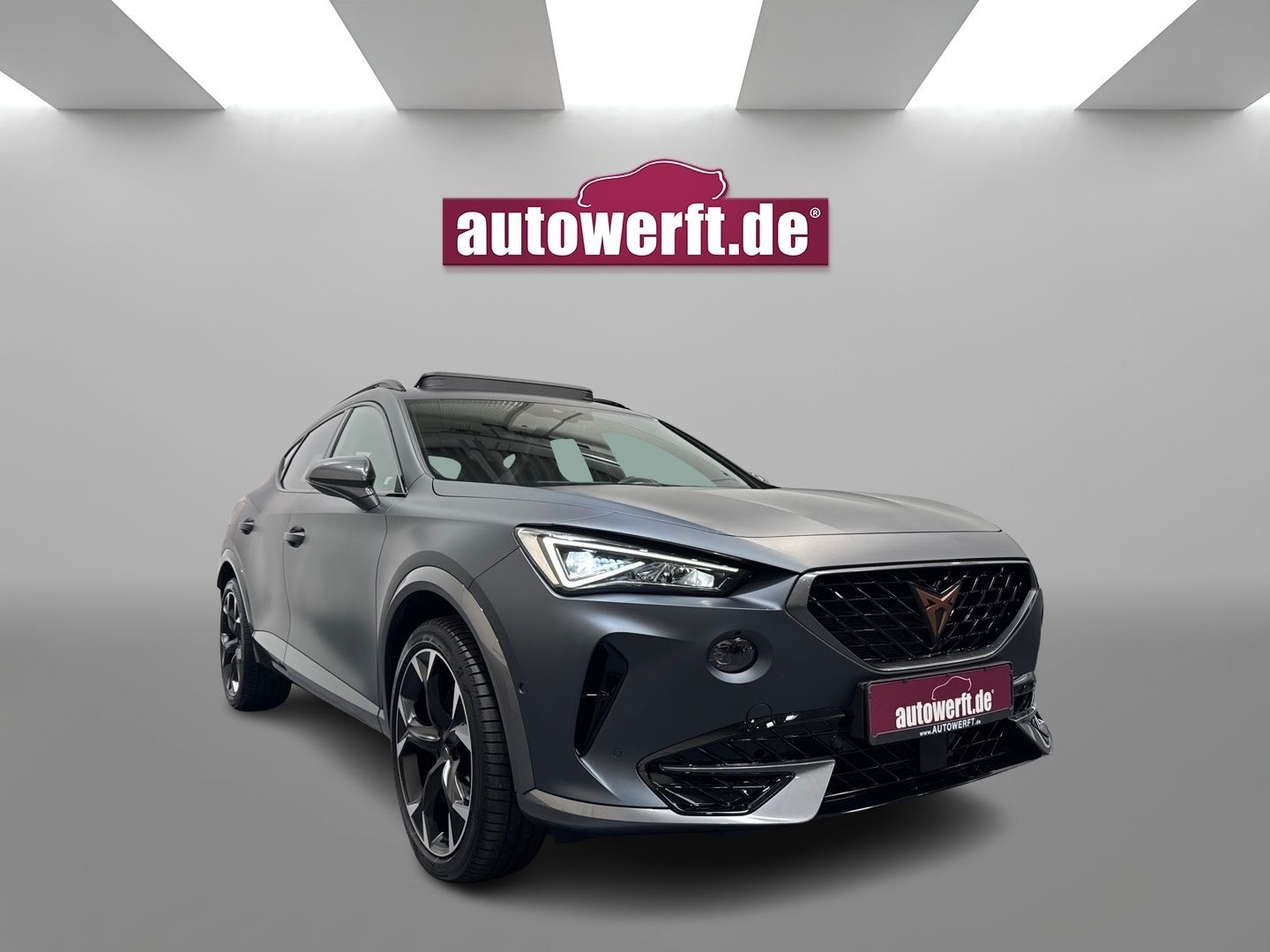 Cupra Formentor 2.0 TSI VZ MATT PANO AHK CAM BEATS 5J.