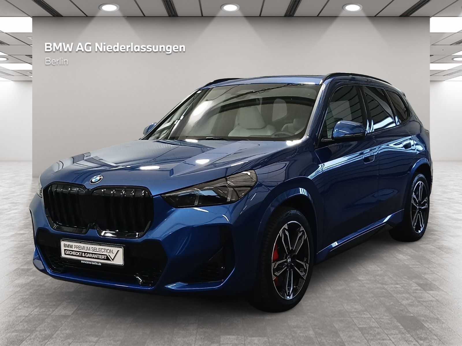 BMW X1 xDrive23i MSportPro LiCoPr Pano DAPr PAPr AHK