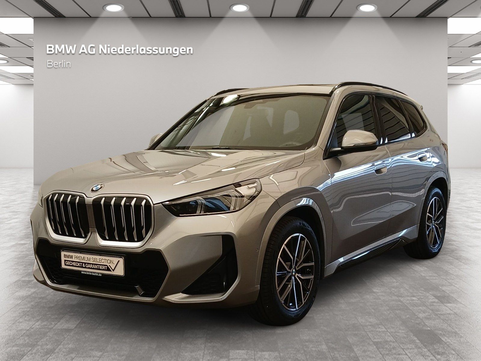 BMW X1 xDrive20d M Sport Navi Pano AHK Driv.Assist+