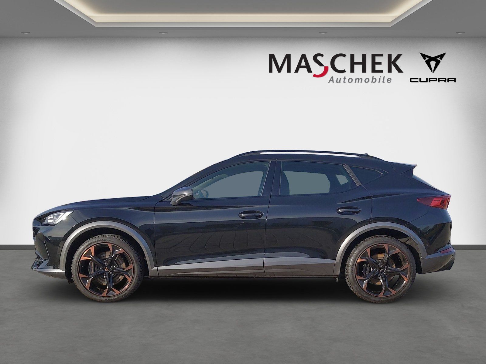 Cupra Formentor 2.0 TSI DSG Pano AHK Schalens. RearVie