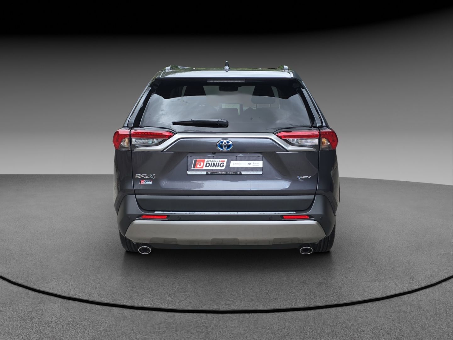 Toyota RAV 4 Hybrid 4x2 Team Deutschland Technik P. Nav