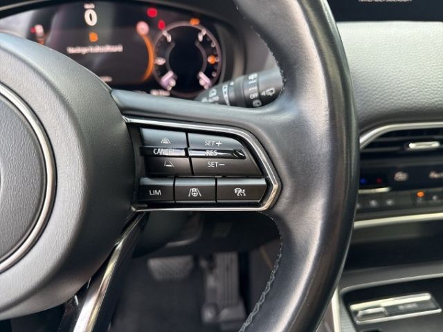 Mazda CX-60 PHEV Homura+AWD HUD Pano Tieferlegung AHZV