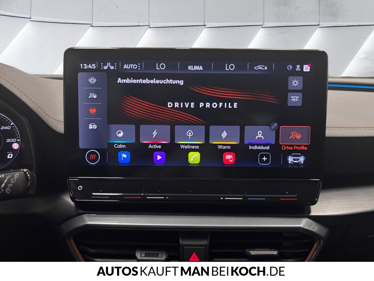 Cupra Formentor 2.0 TSI DSG VZ AHK BEATS LED