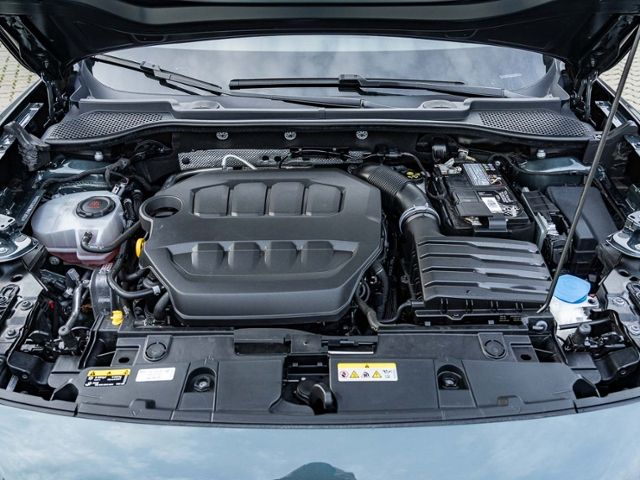 Cupra Formentor 2.0 TSI DSG 4Drive VZ *AHK*PANO*BEATS*