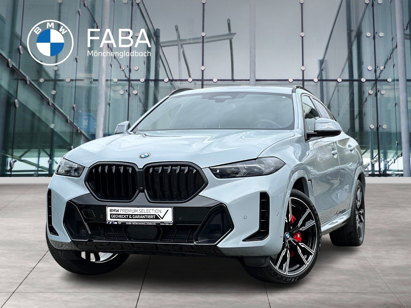 BMW X6 xDrive30d M Sport Sportpaket Gestiksteuerung