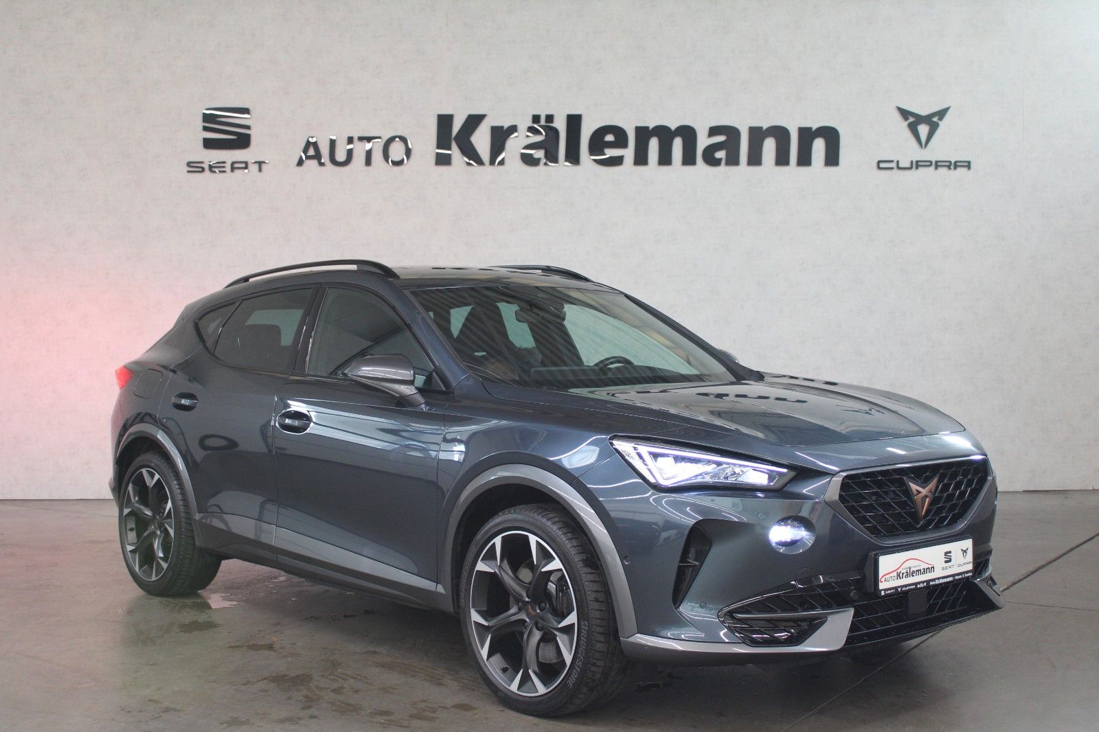 Cupra Formentor VZ 1,4 DSG e-HYBRID*AHK*