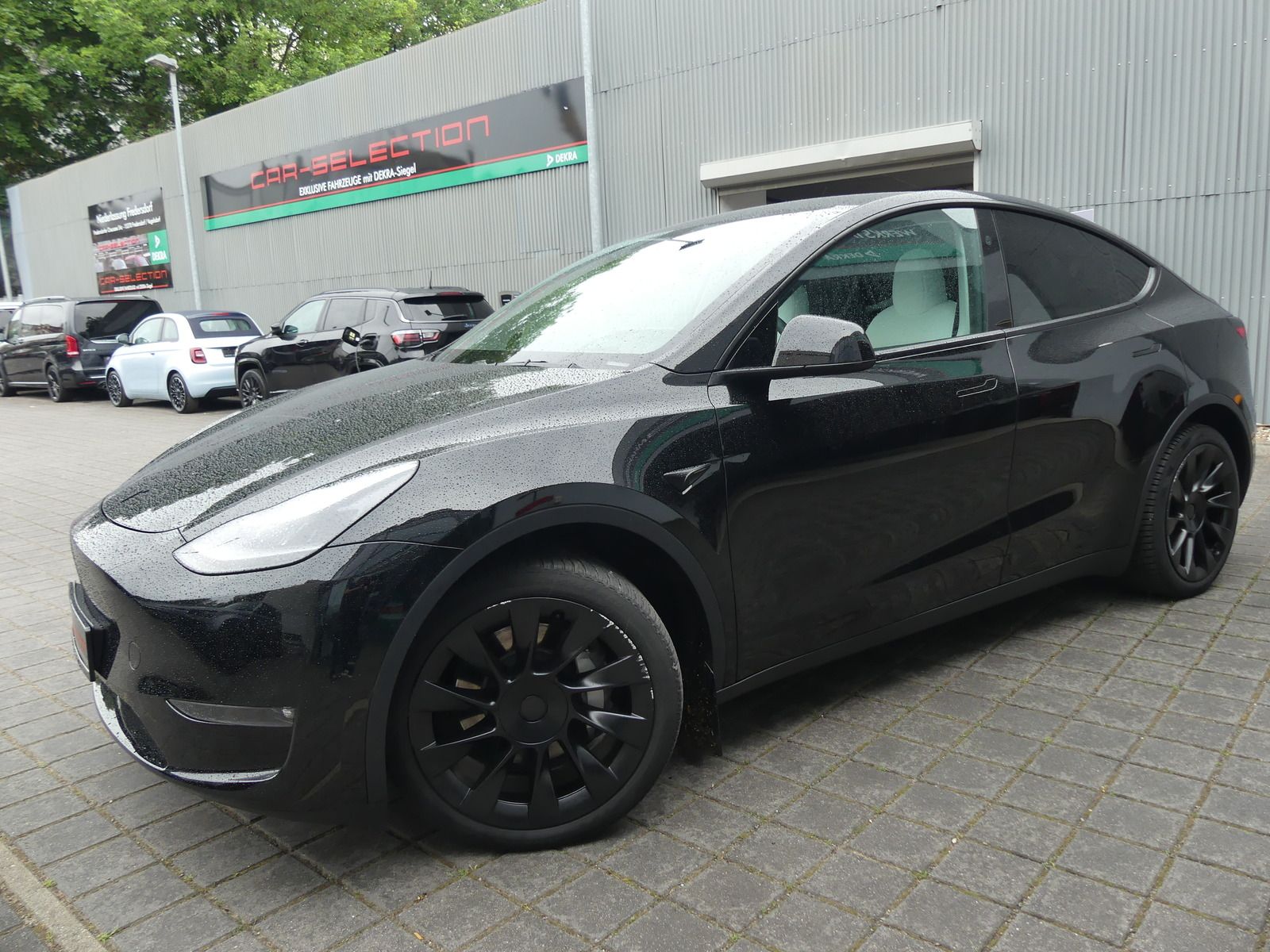 Tesla Model Y Long Range Dual AWD PANO/LED/KAM/AUTOPIL