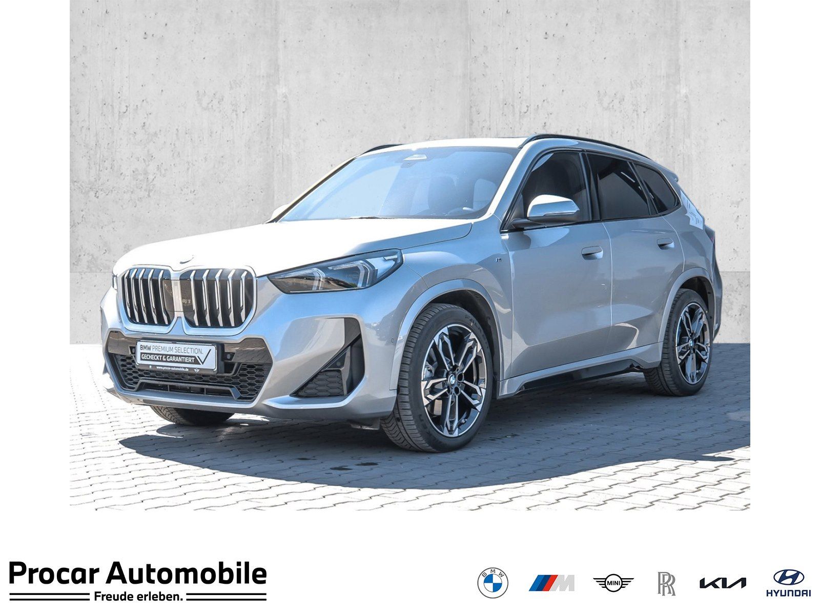 BMW X1 xDrive23d M Sport PANO ACC AHK RFK NAVI LED