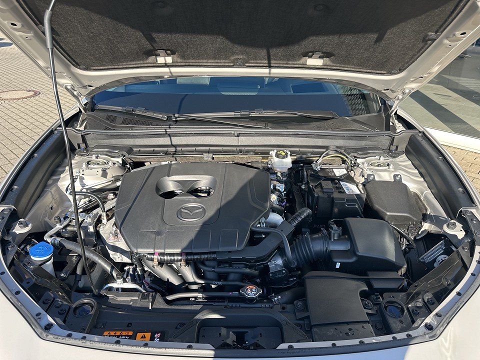 Mazda CX-30 Exclusive-line 1.Hand BOSE Matrix Notbrems