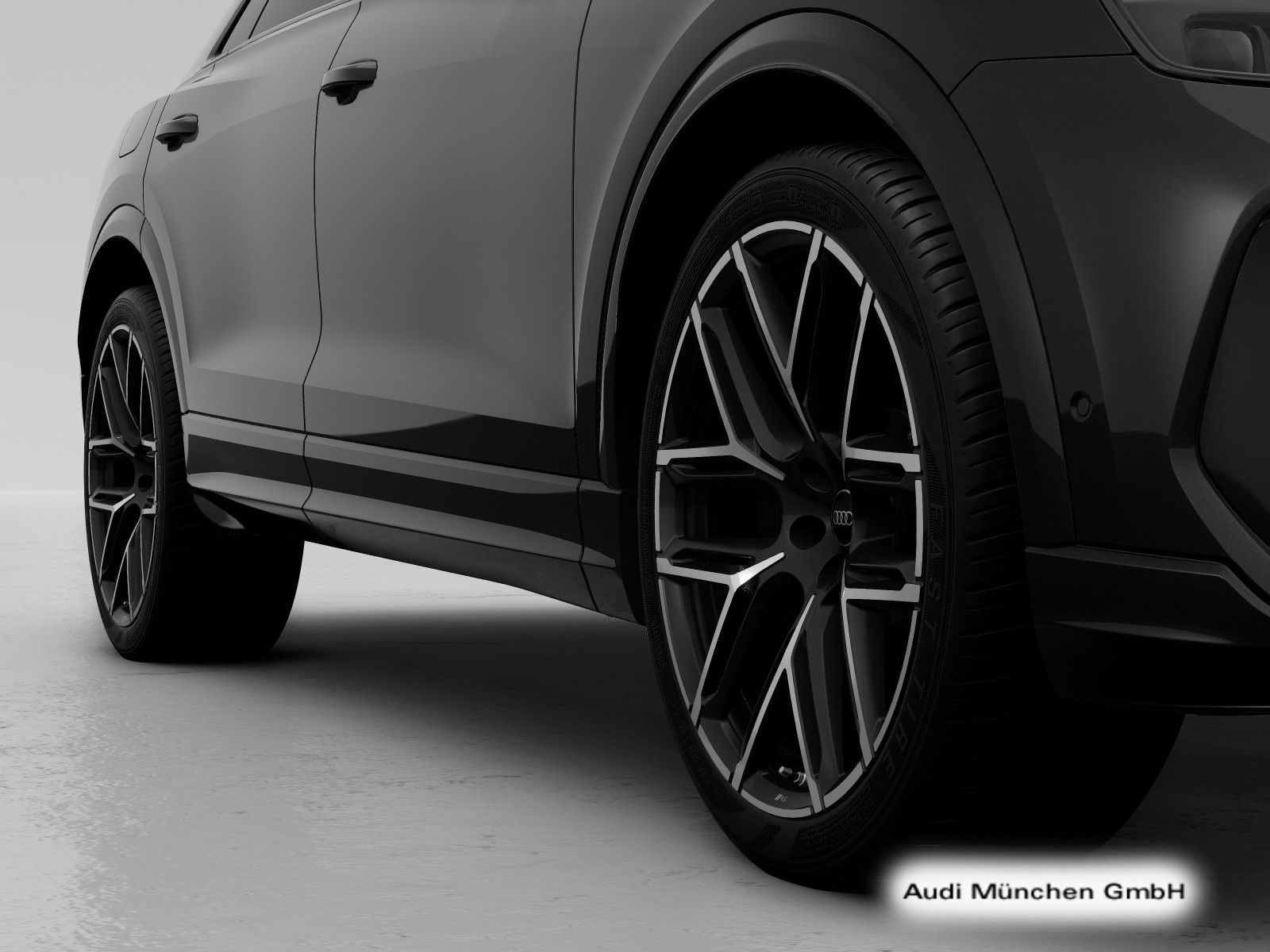 Audi RSQ8 tiptr. Dynamik+/RS-AGA/StdHzg/AHK/HD-Matrix
