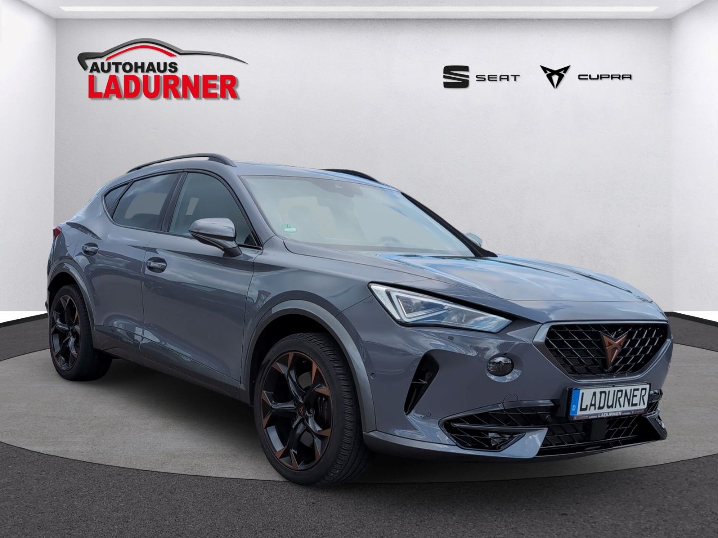 Cupra Formentor VZ 2.0TSI DSG *MATRIX+CUP-SITZE+PANO+A