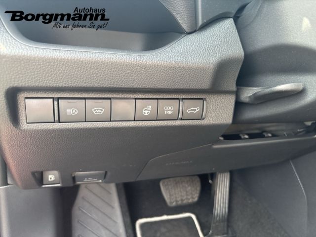 Toyota RAV 4 Hybrid Team Deutschland Sitzheizung - Temp