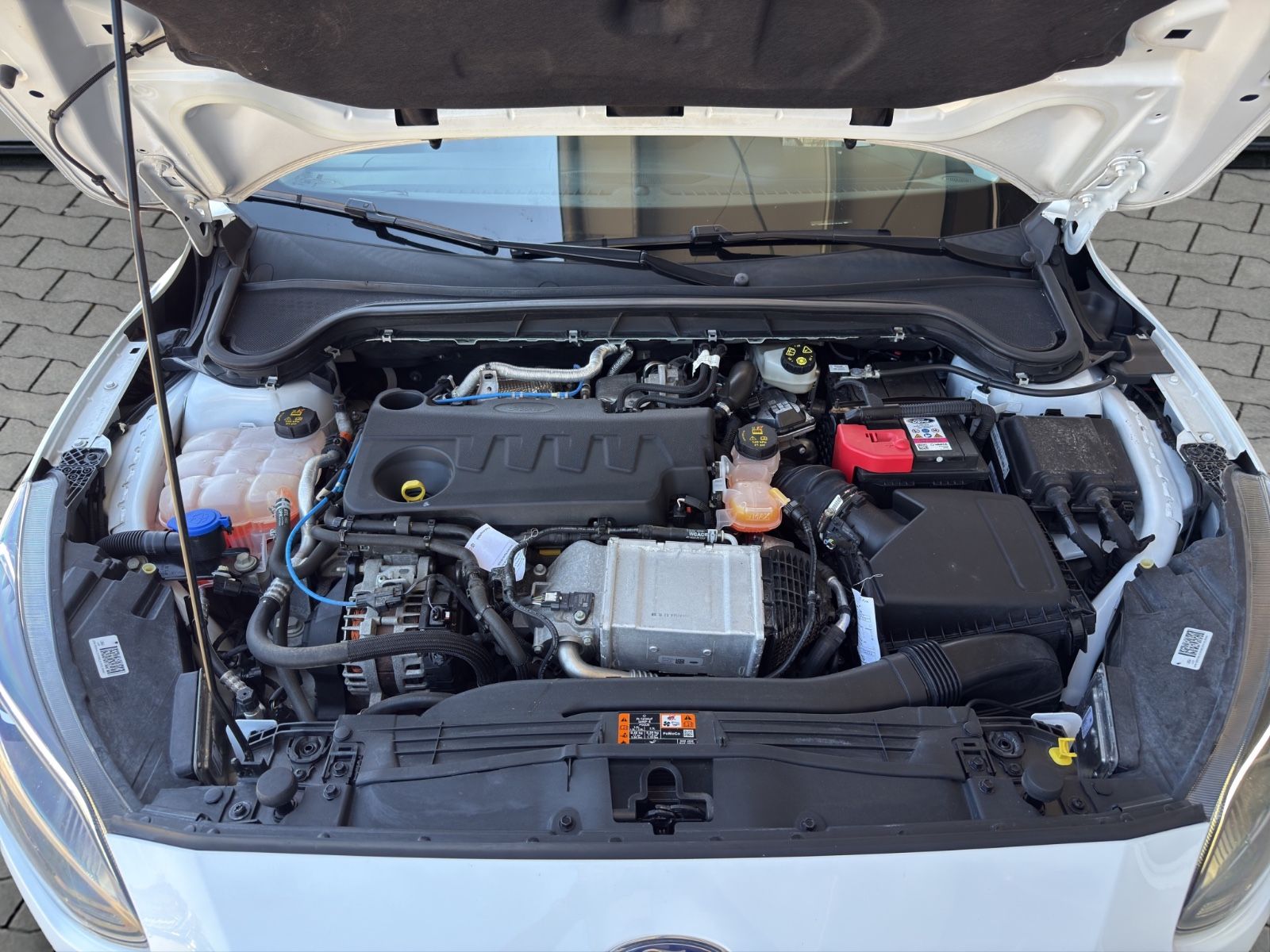 Ford Focus 2.0 Vignale - Samsaru's Car Outlet